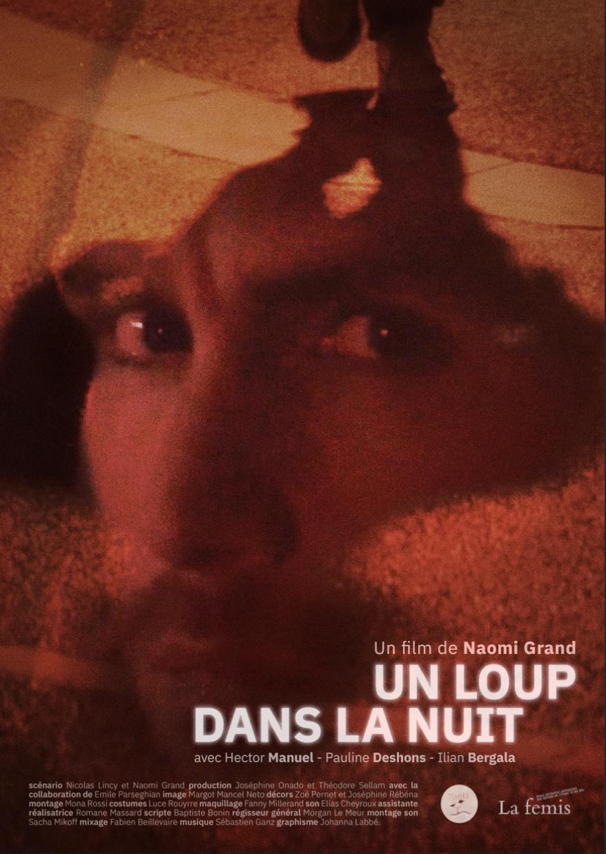 Un loup dans la nuit